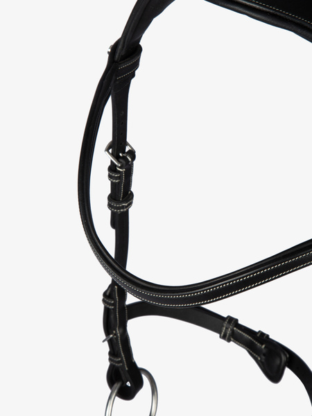 Helsinki Bridle