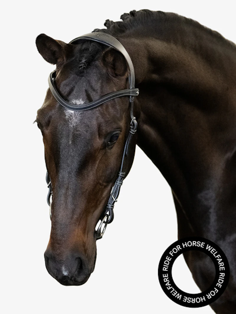 Helsinki Bridle Helsinki Bridle