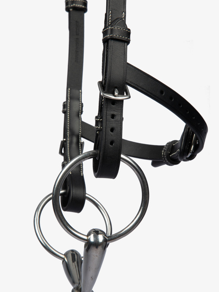 Helsinki Bridle