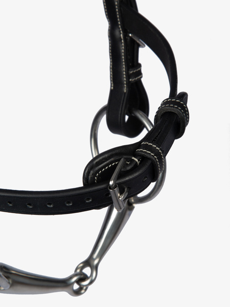 Helsinki Bridle