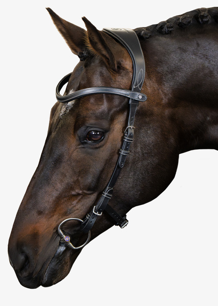 Helsinki Bridle