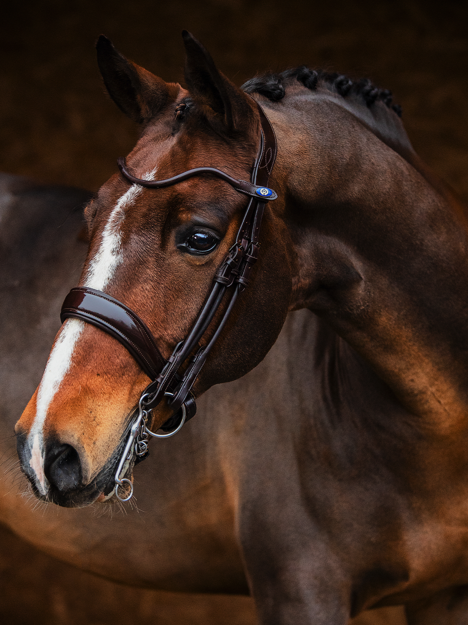 Double Bridle Passage