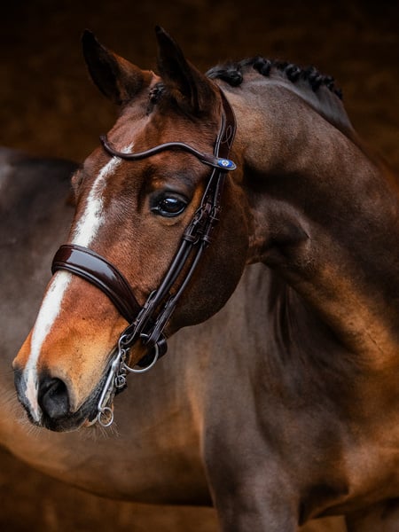 Double Bridle Passage