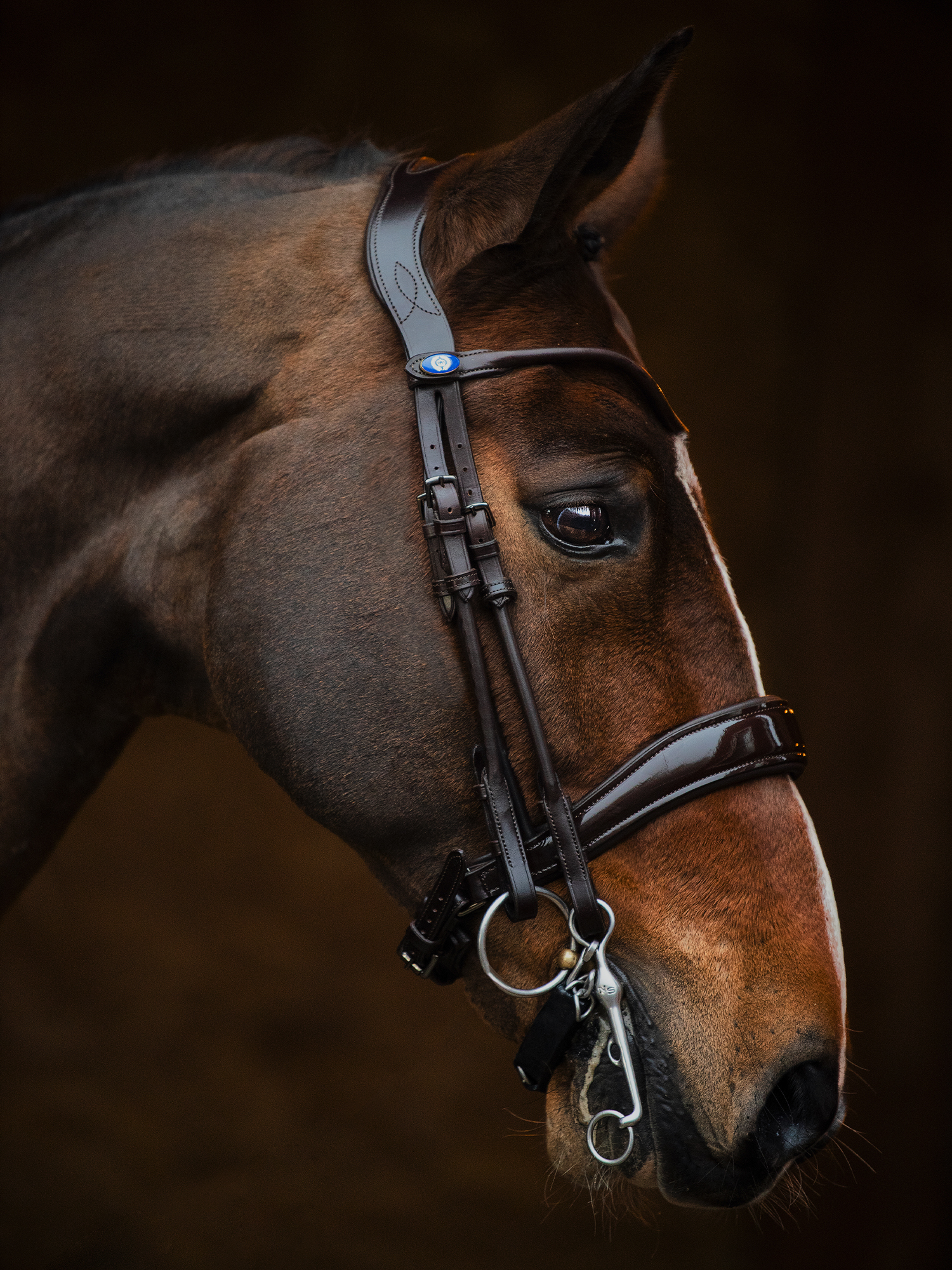 Double Bridle Passage