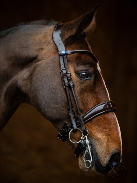 Double Bridle Passage