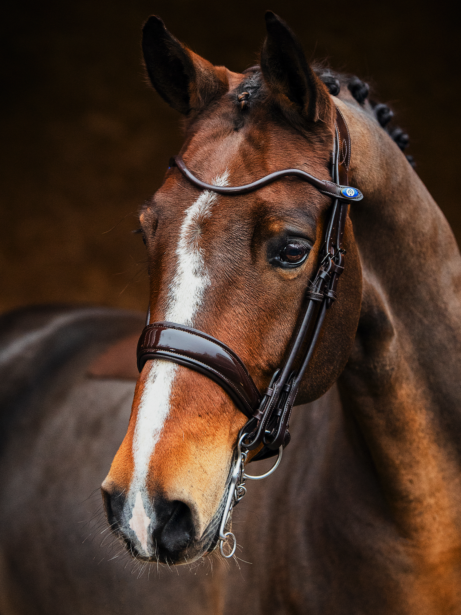 Double Bridle Passage