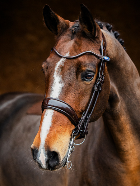 Double Bridle Passage