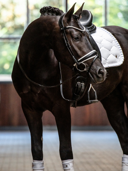 Saddle Pad Dressage Ruffle