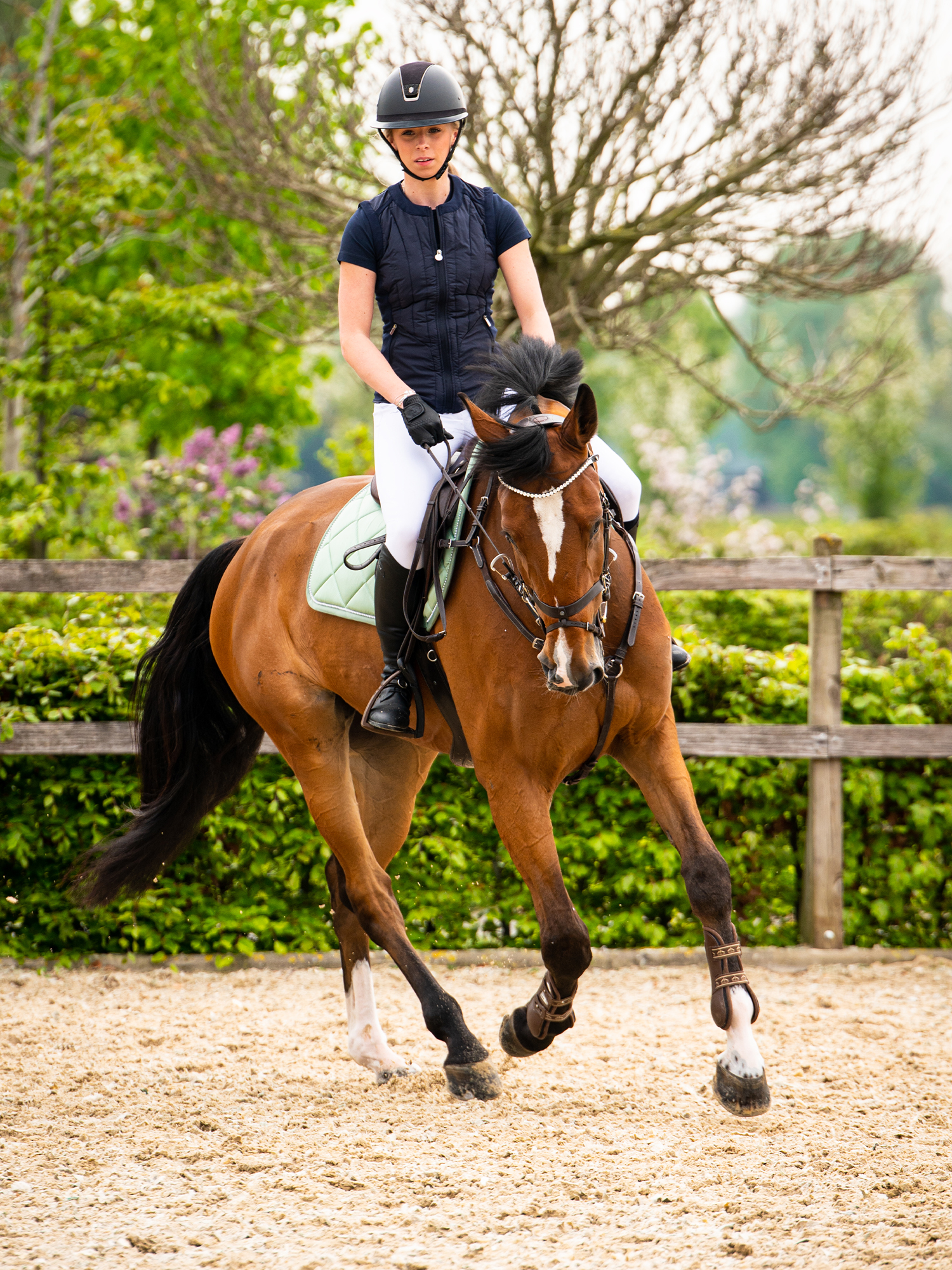 Saddle Pad Jump Ruffle