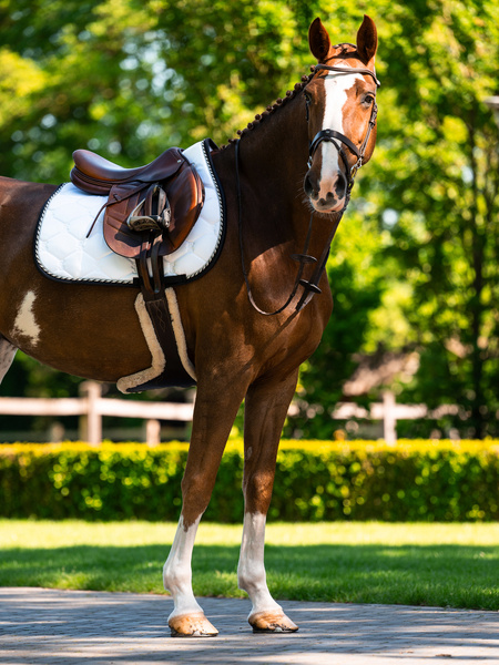Saddle Pad Jump Signature
