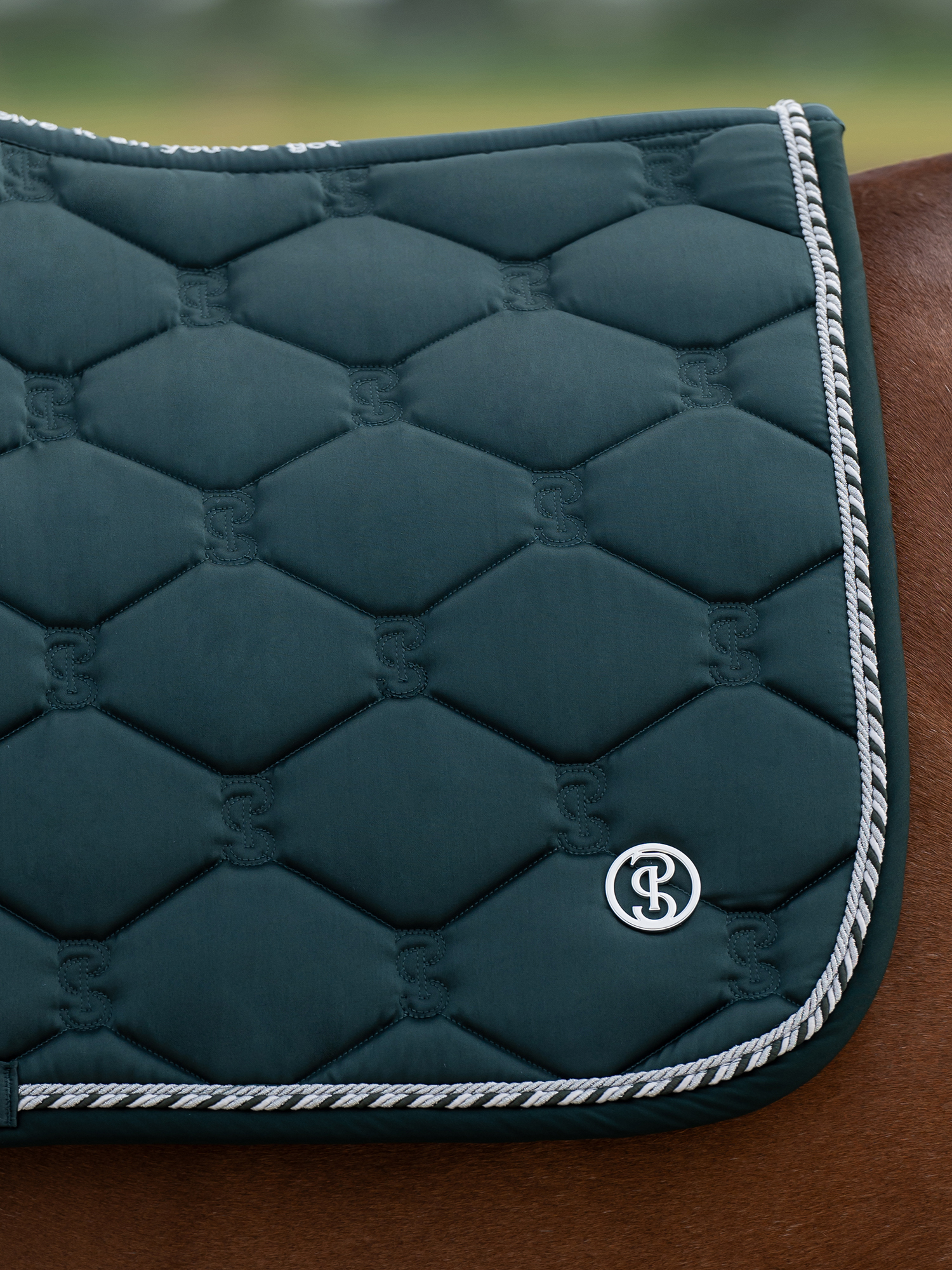Saddle Pad Jump Signature