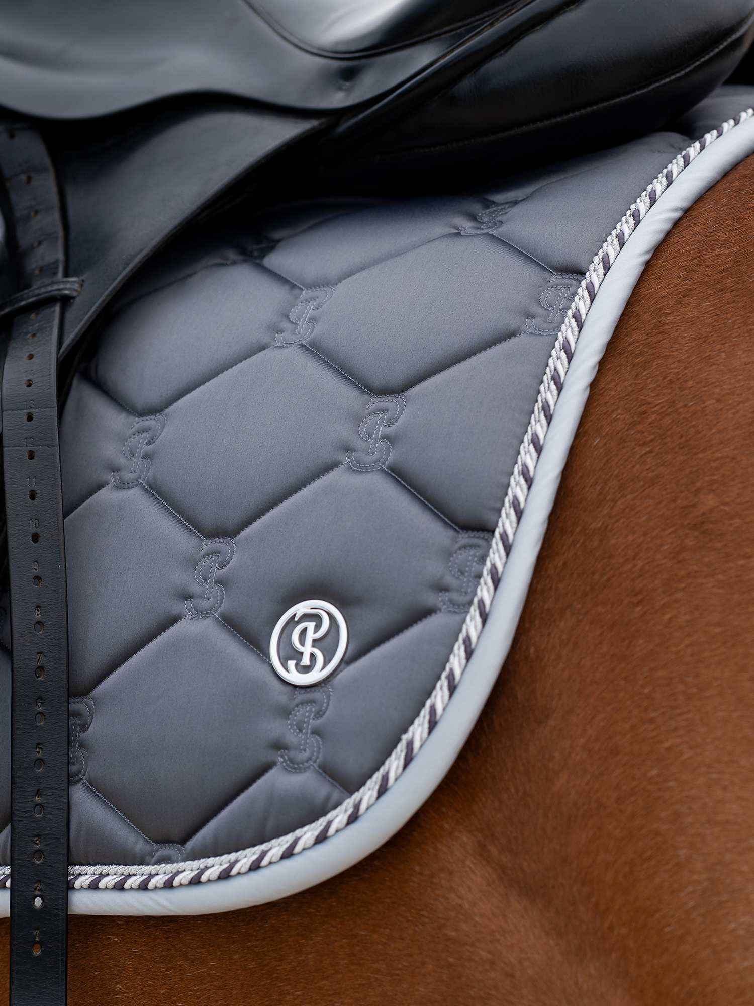 Saddle Pad Jump Signature