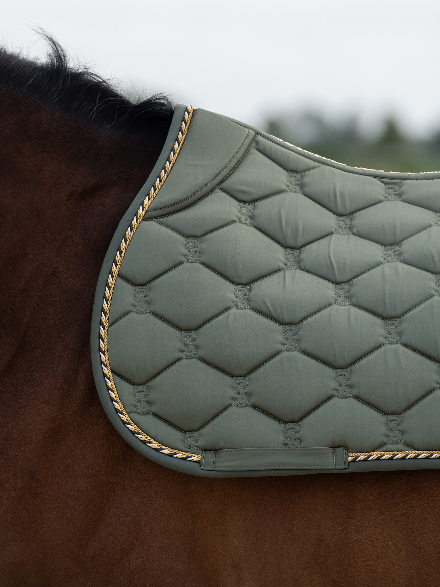 Saddle Pad Jump Signature