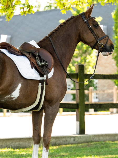 Saddle Pad Jump Signature
