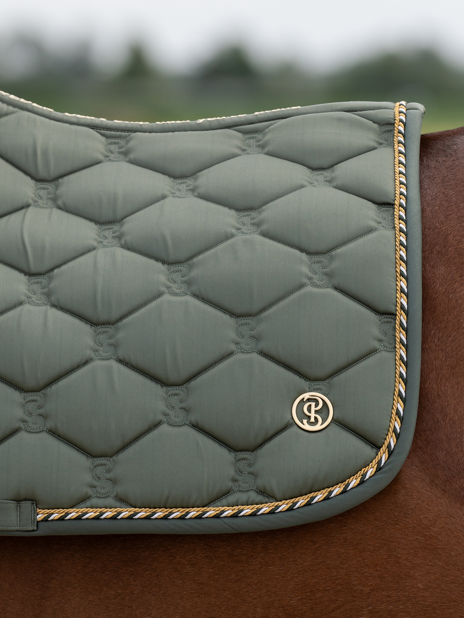 Saddle Pad Jump Signature
