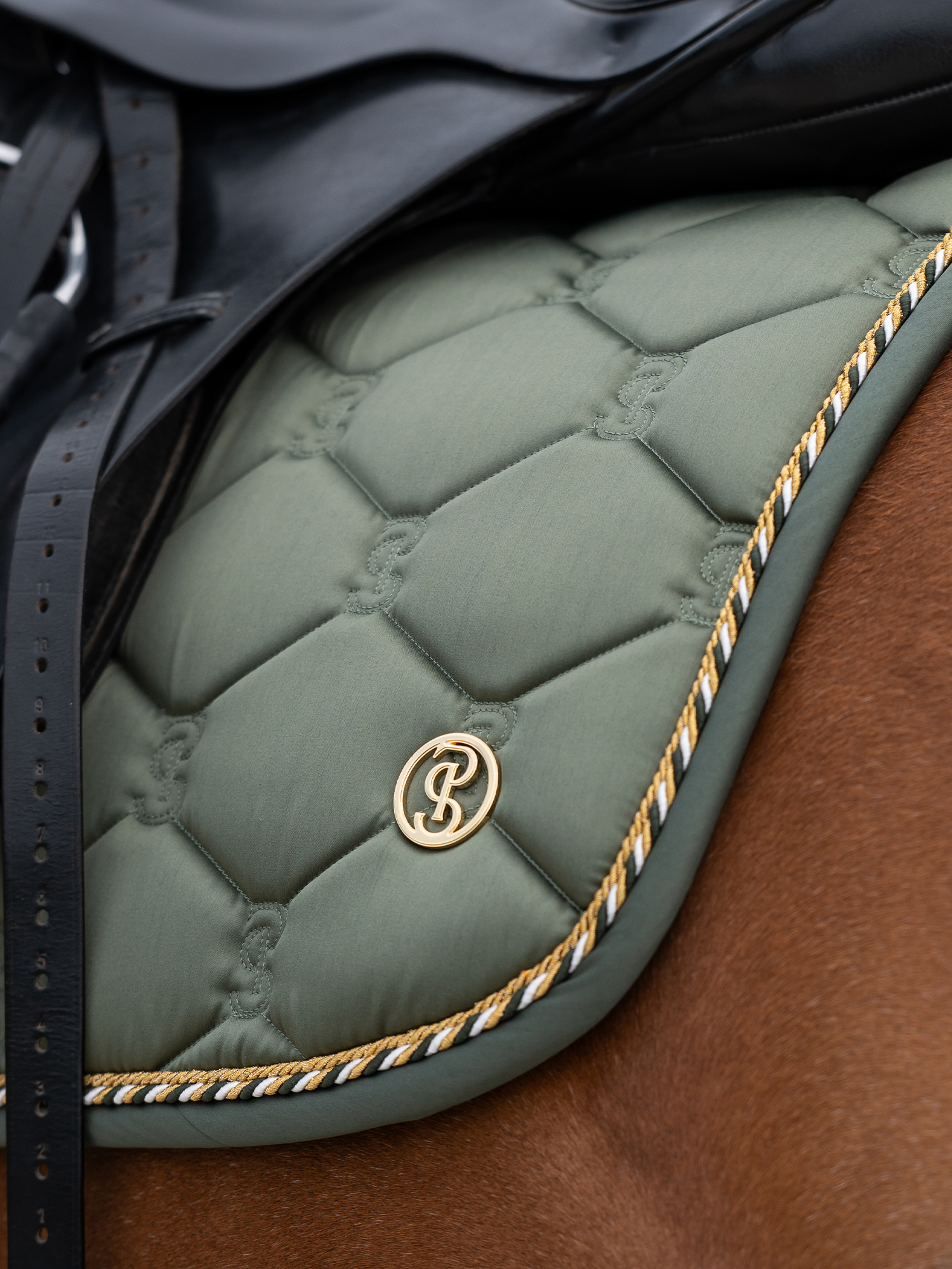 Saddle Pad Jump Signature