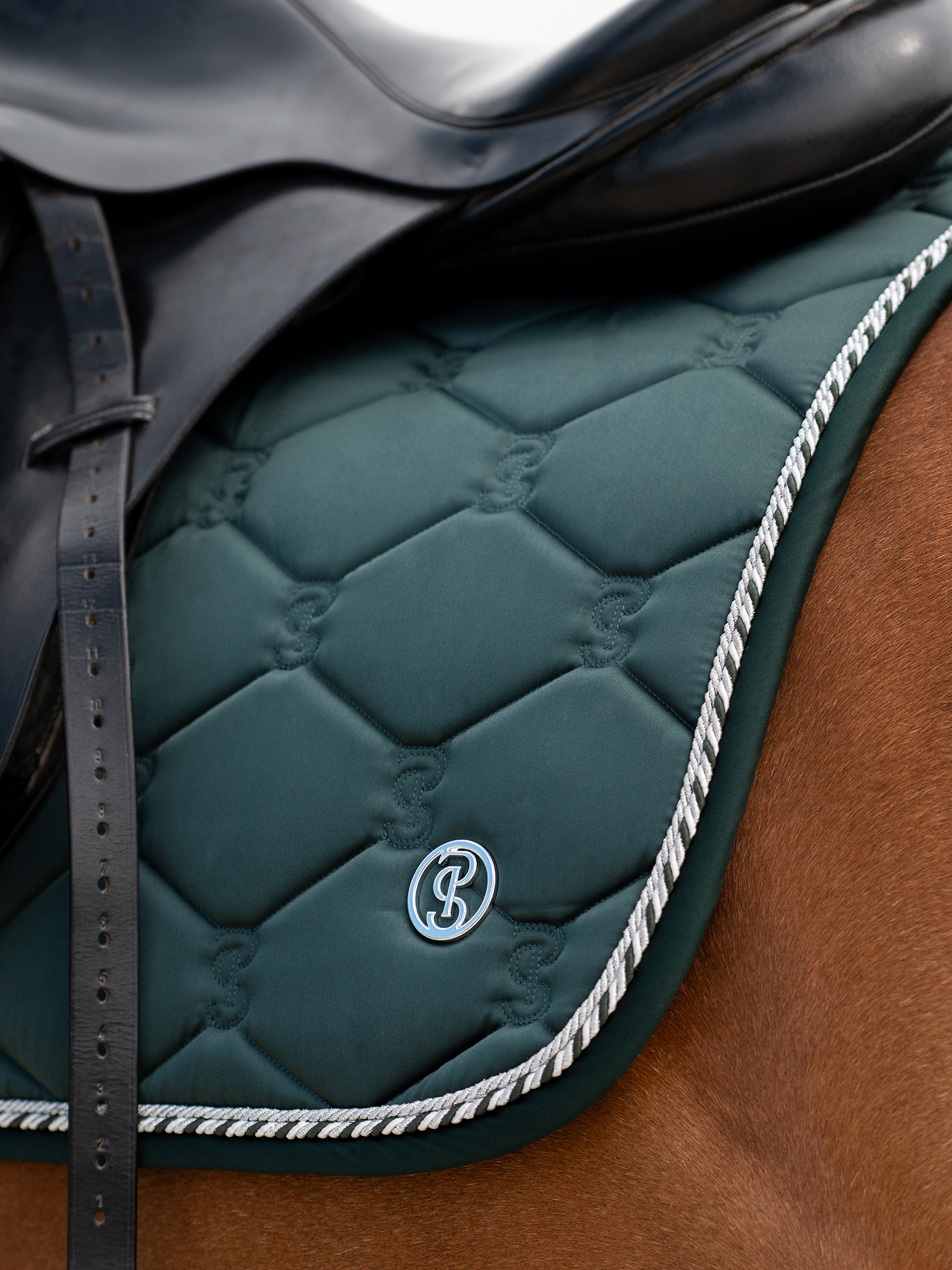 Saddle Pad Jump Signature