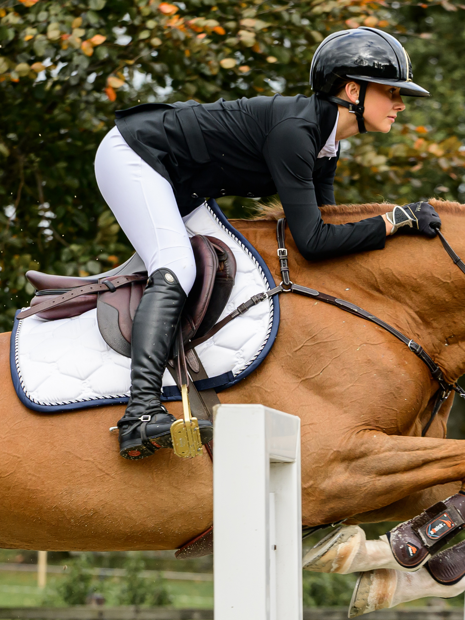 Saddle Pad Jump Signature