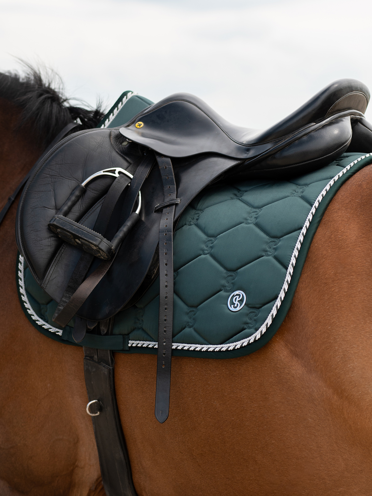 Saddle Pad Jump Signature