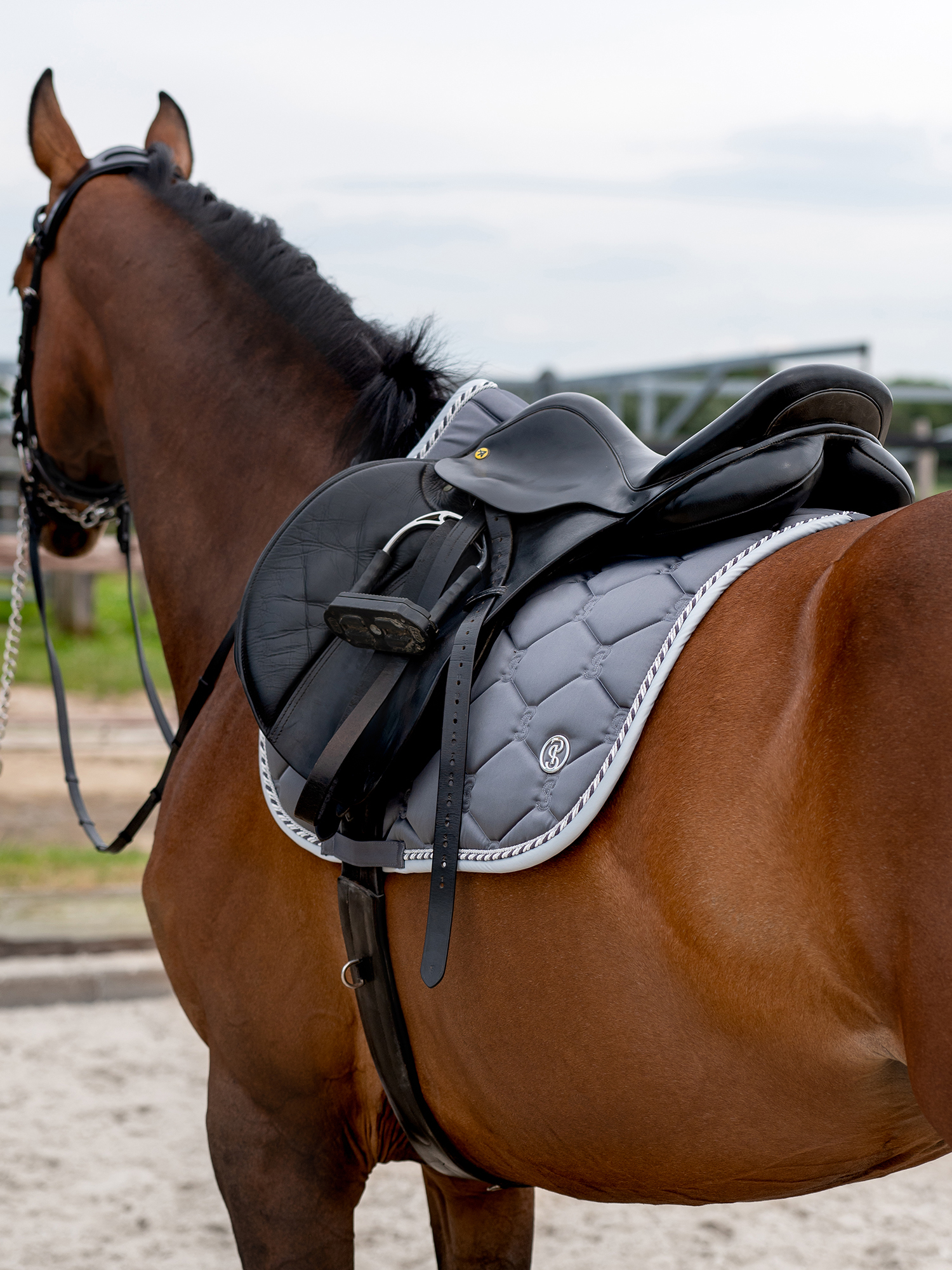 Saddle Pad Jump Signature