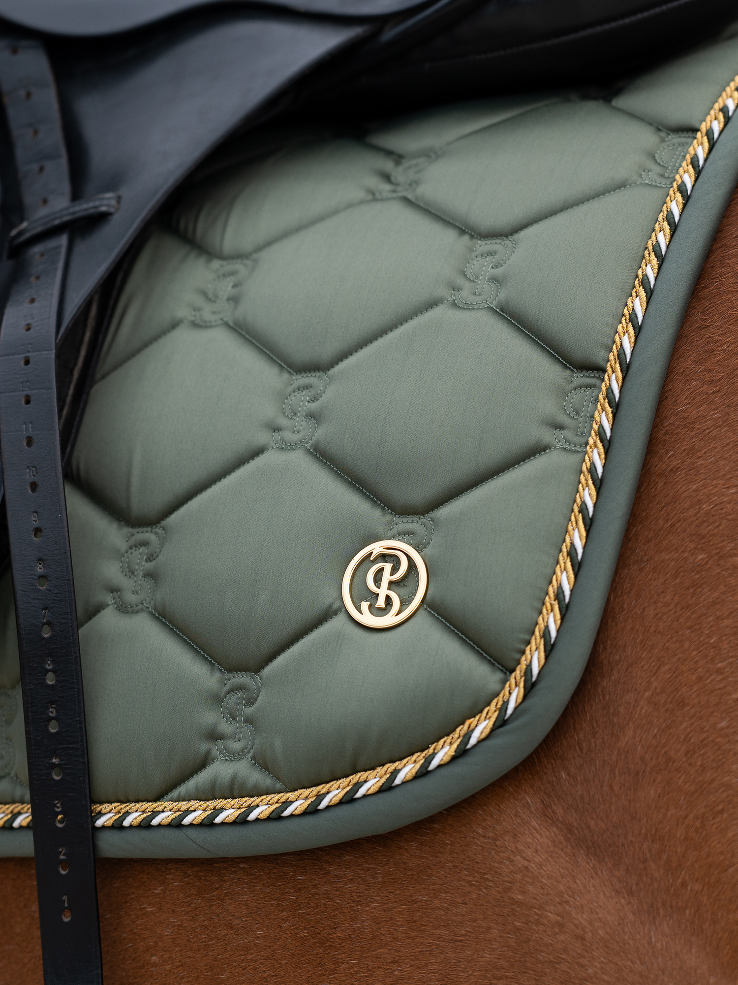 Saddle Pad Jump Signature