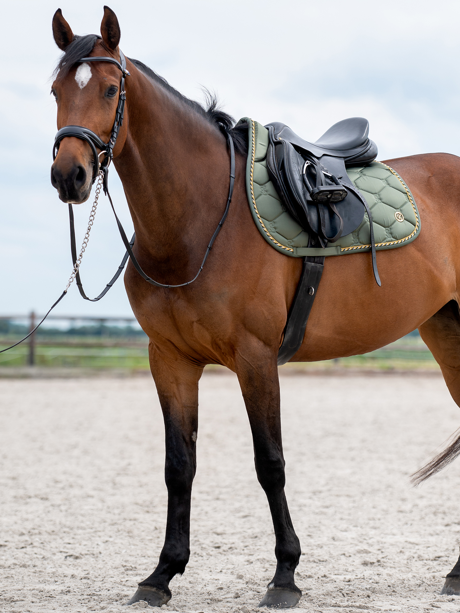 Saddle Pad Jump Signature