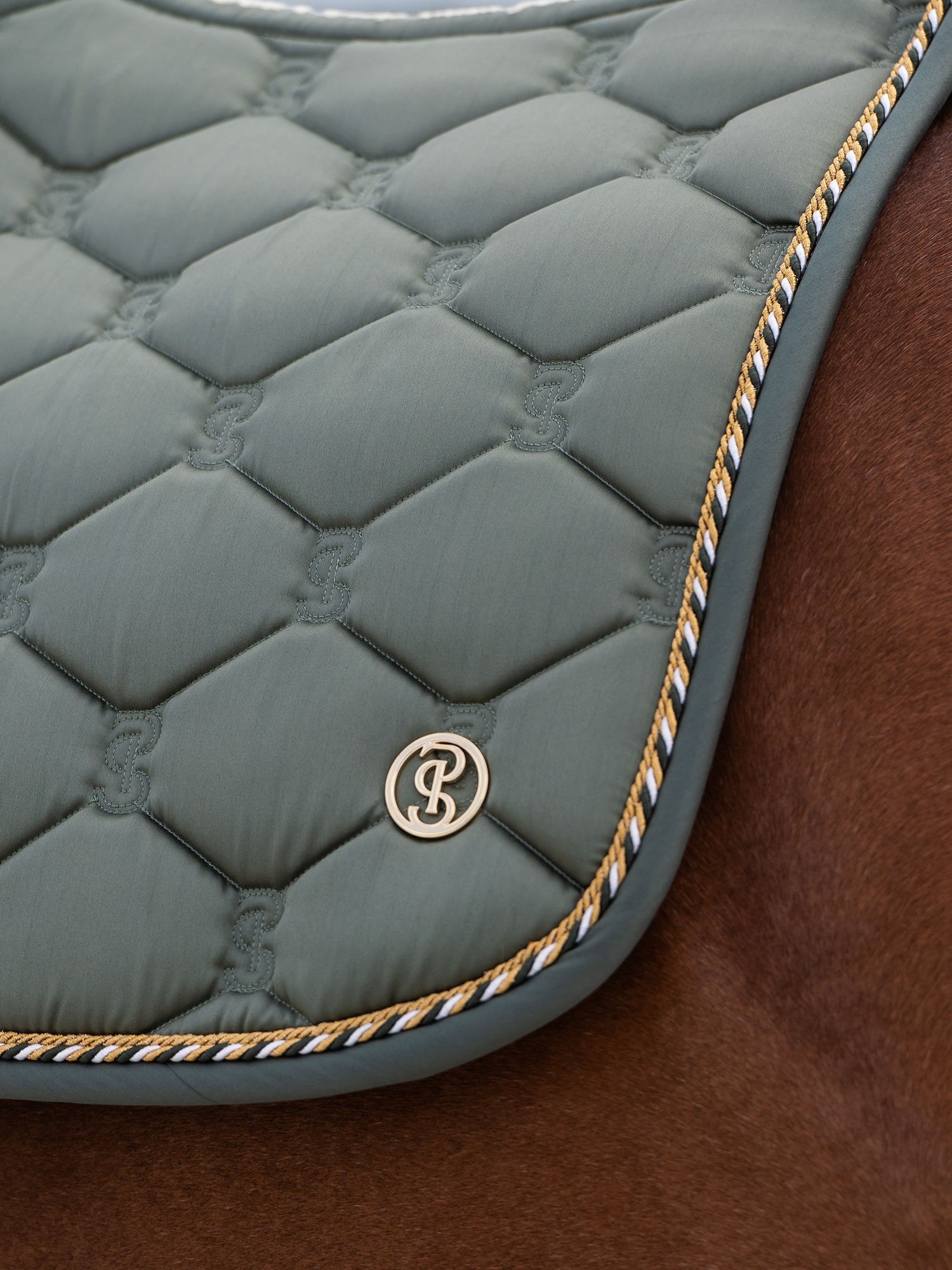 Saddle Pad Jump Signature