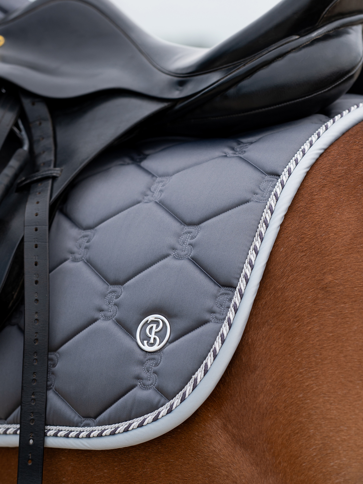 Saddle Pad Jump Signature