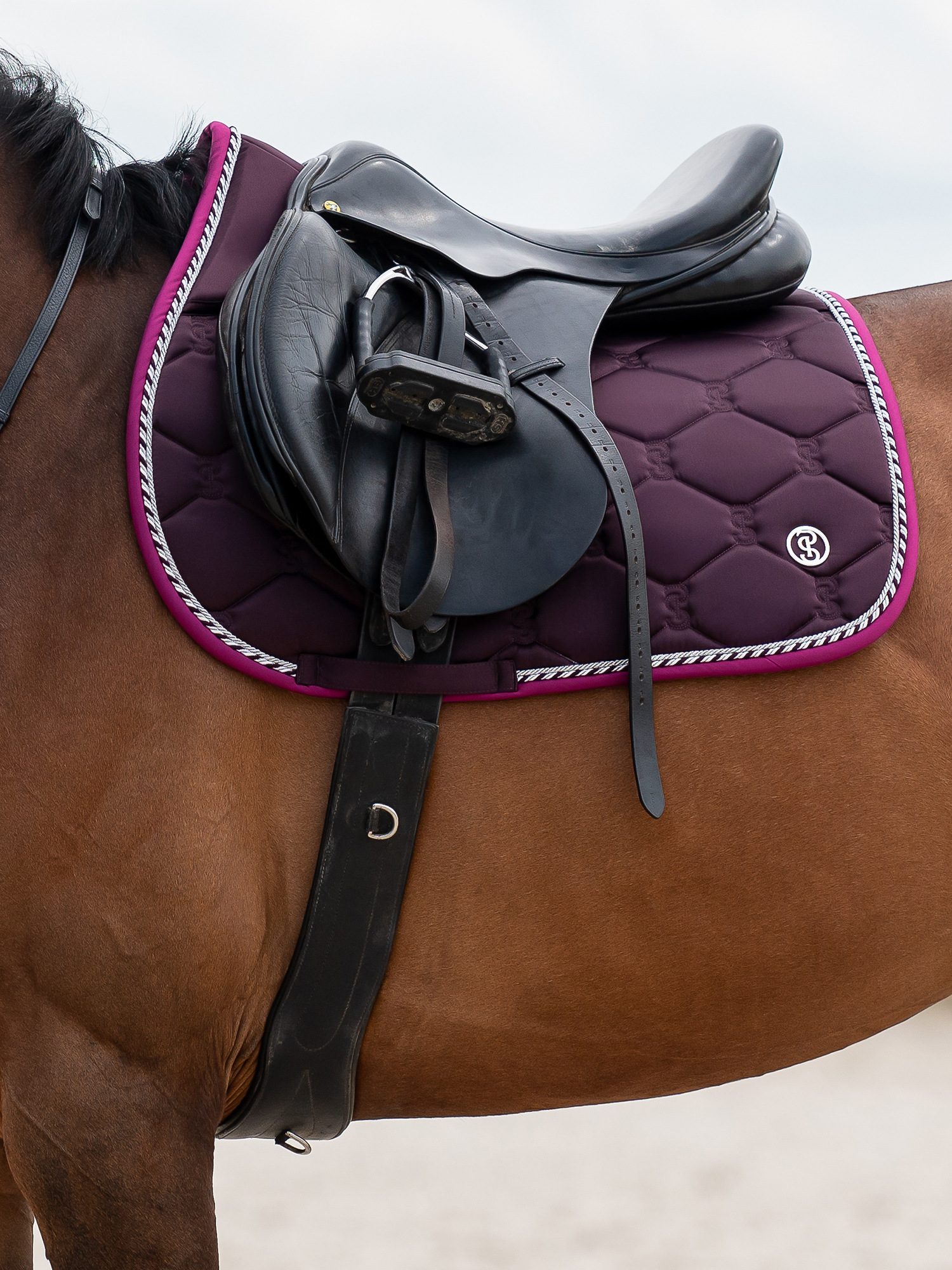 Saddle Pad Jump Signature