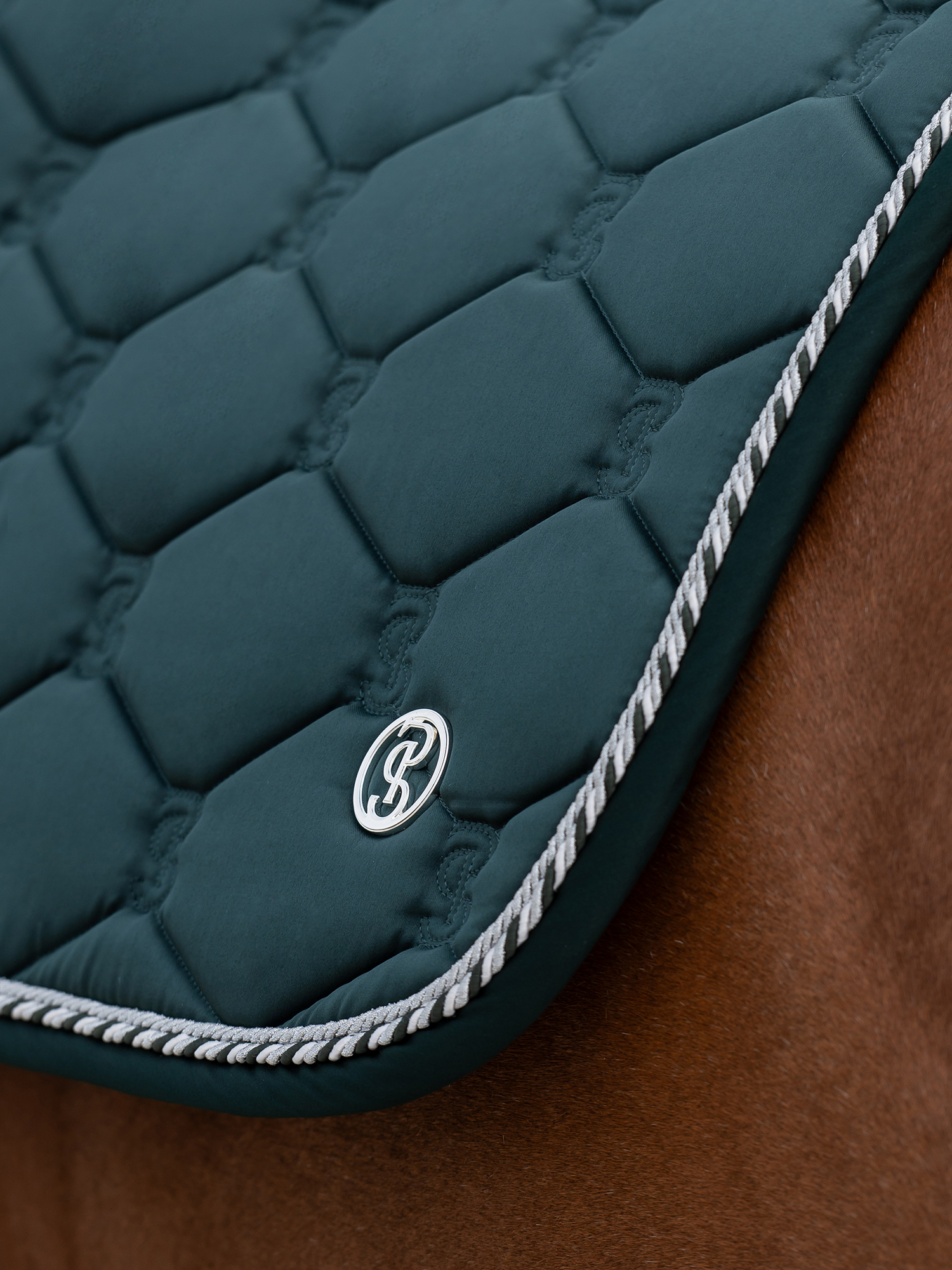 Saddle Pad Jump Signature