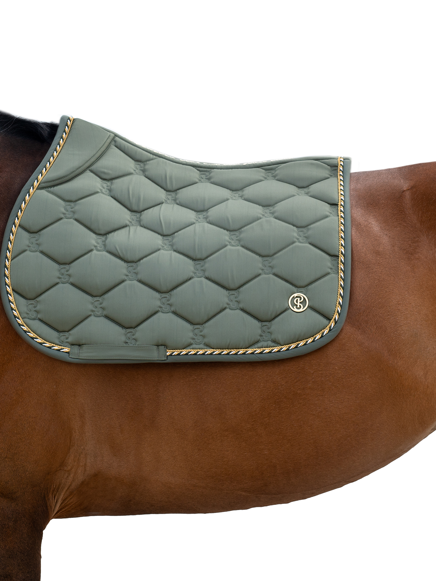 Saddle Pad Jump Signature