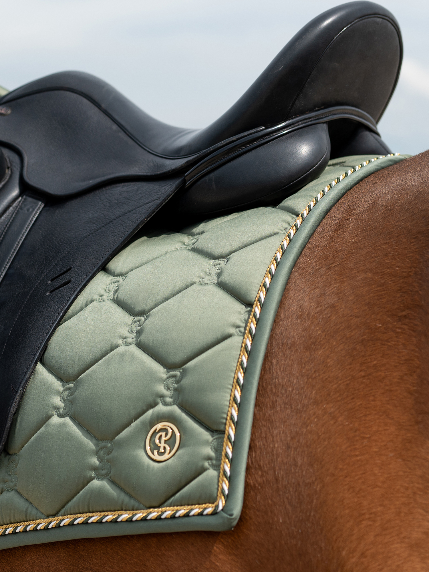 Saddle Pad Dressage Signature
