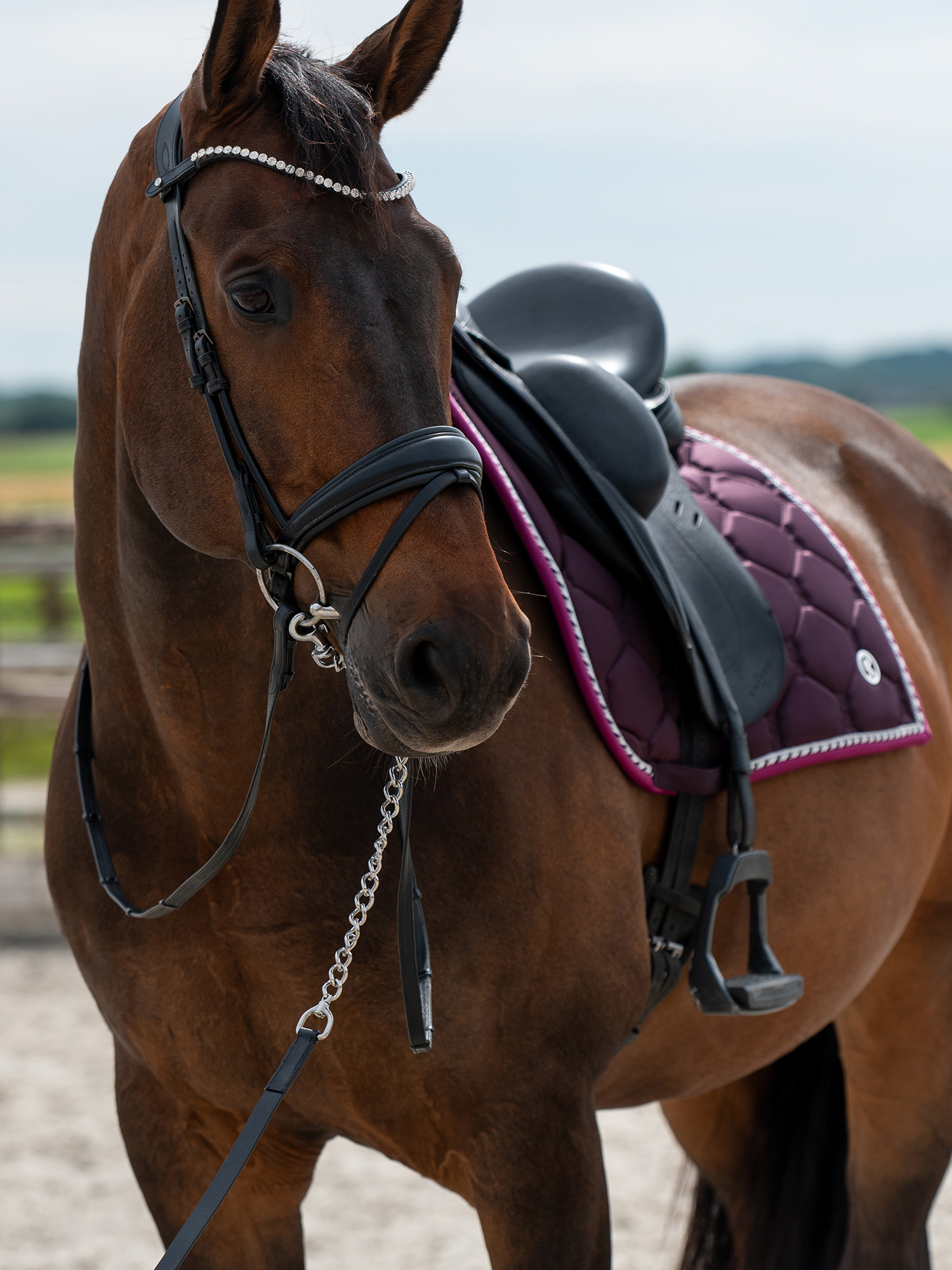 Saddle Pad Dressage Signature