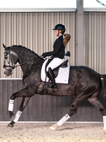 Saddle Pad Dressage Signature