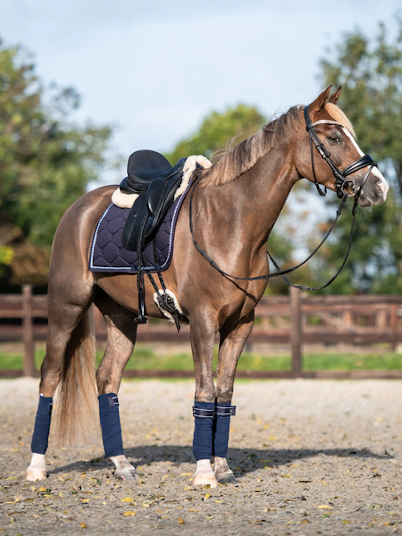 Saddle Pad Dressage Signature Saddle Pad Dressage Signature