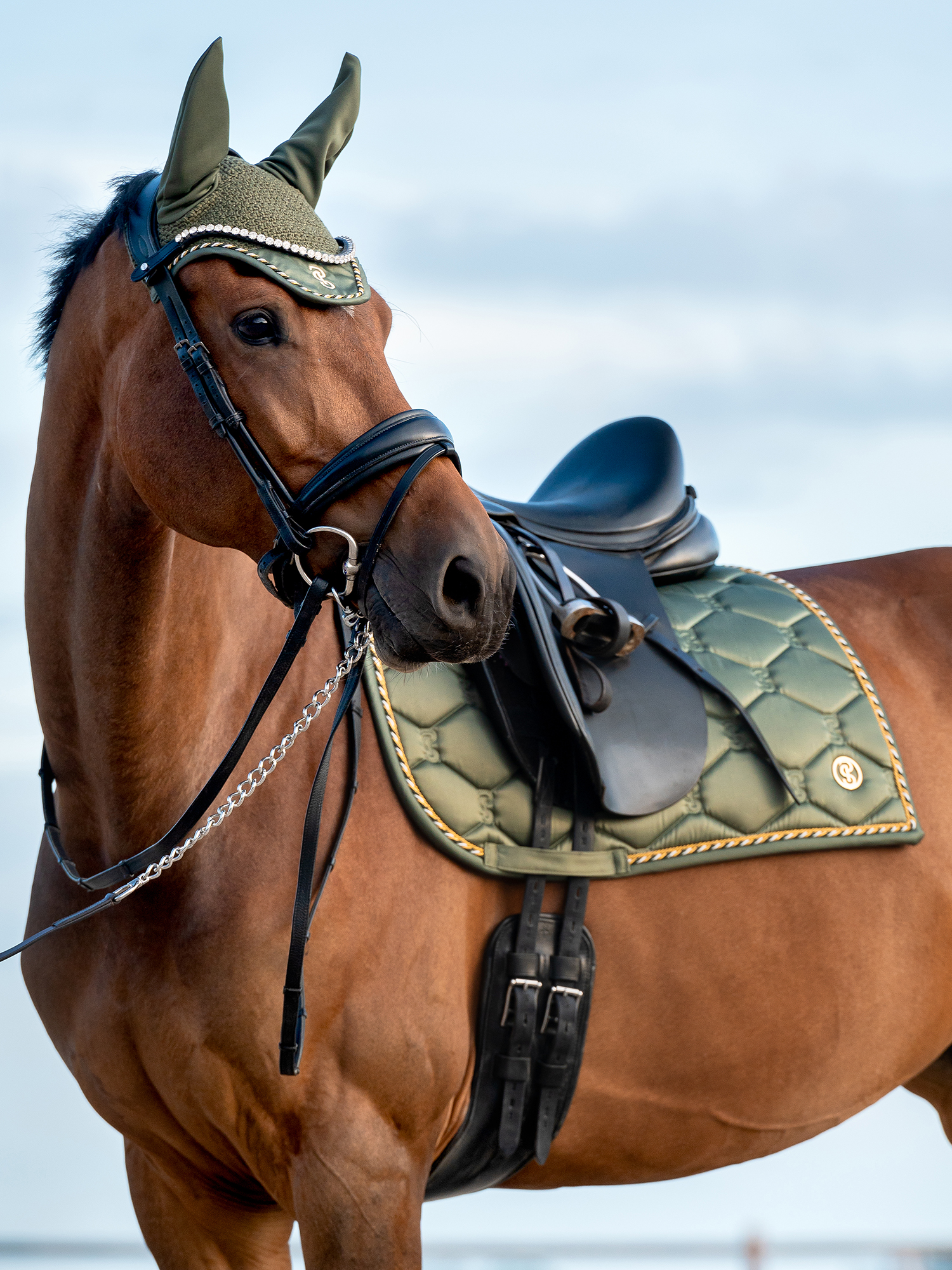 Saddle Pad Dressage Signature