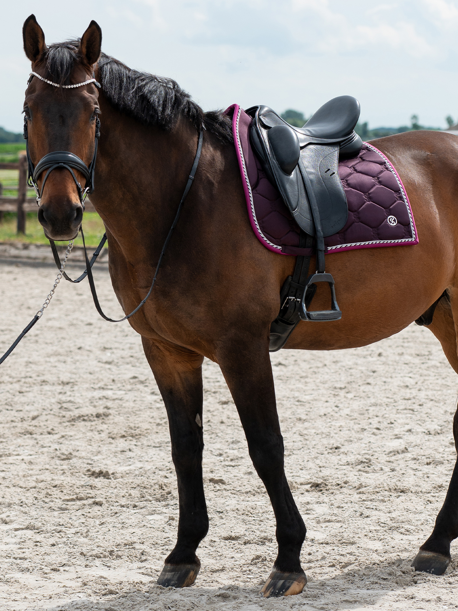 Saddle Pad Dressage Signature