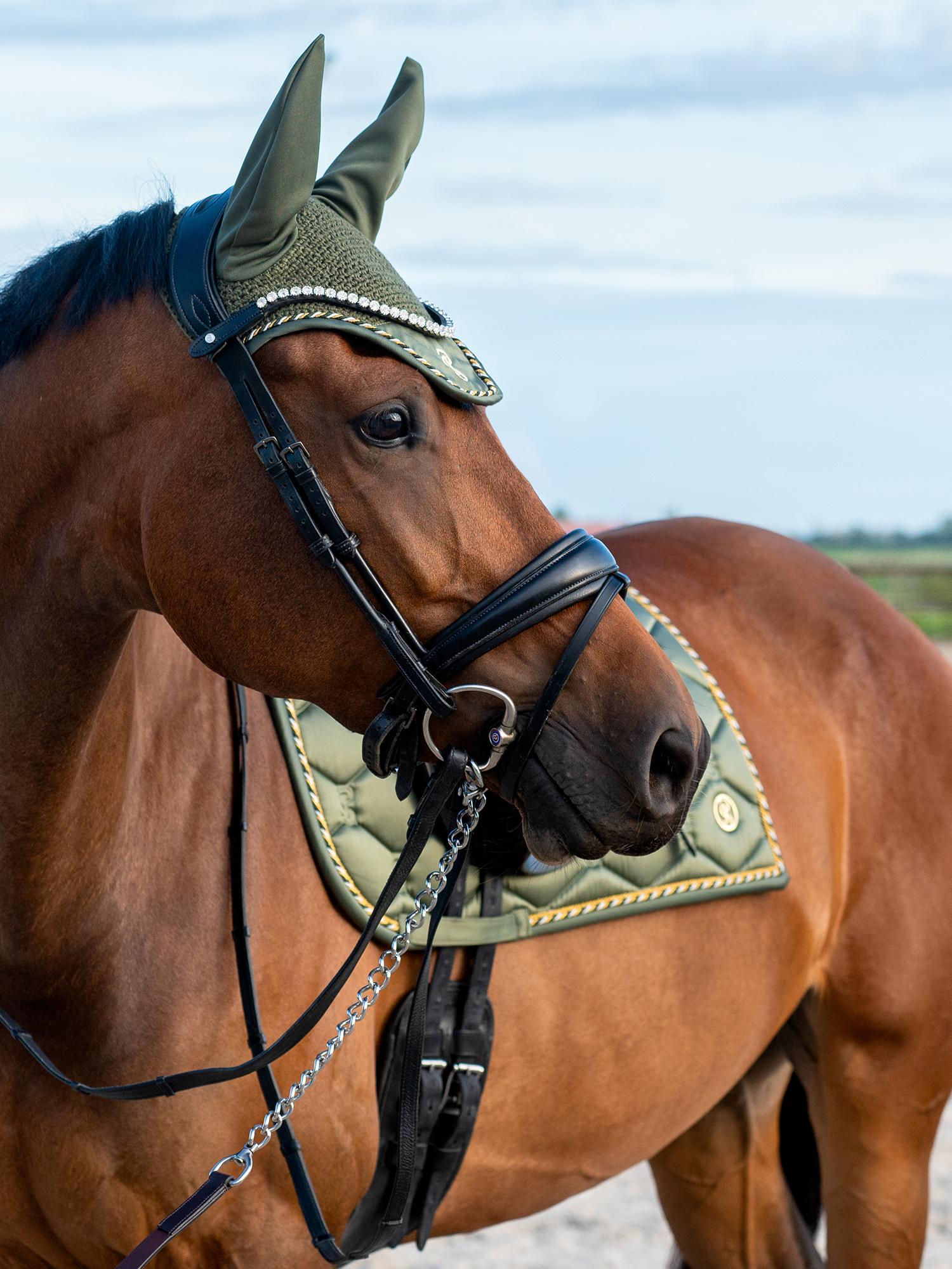 Saddle Pad Dressage Signature