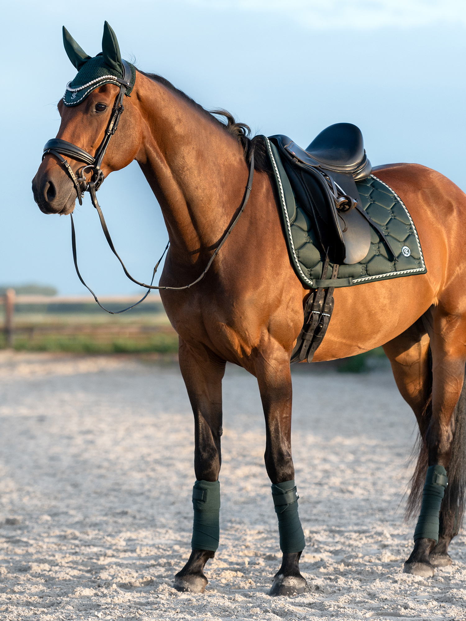 Saddle Pad Dressage Signature