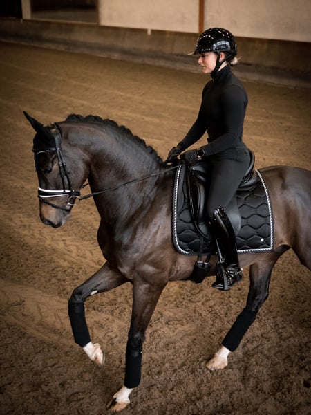 Saddle Pad Dressage Signature