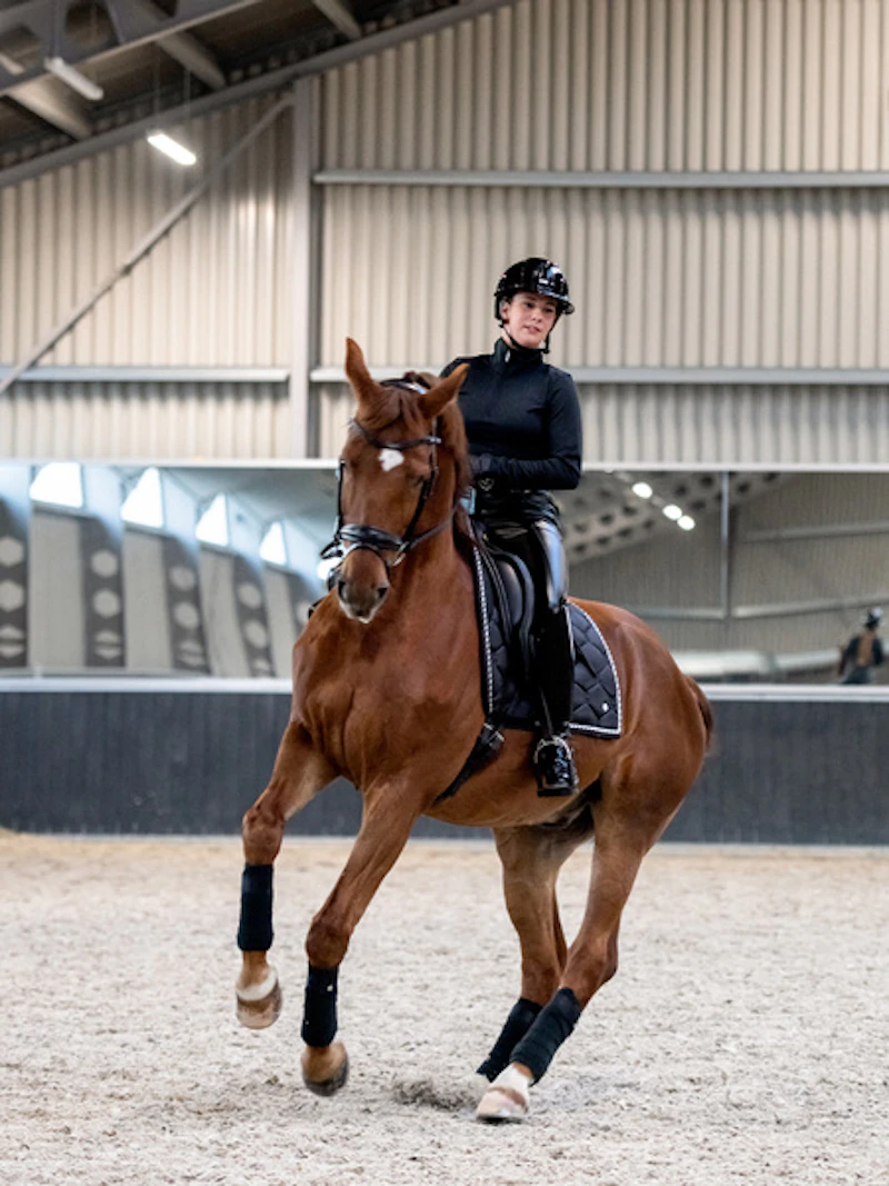 Saddle Pad Dressage Signature Saddle Pad Dressage Signature