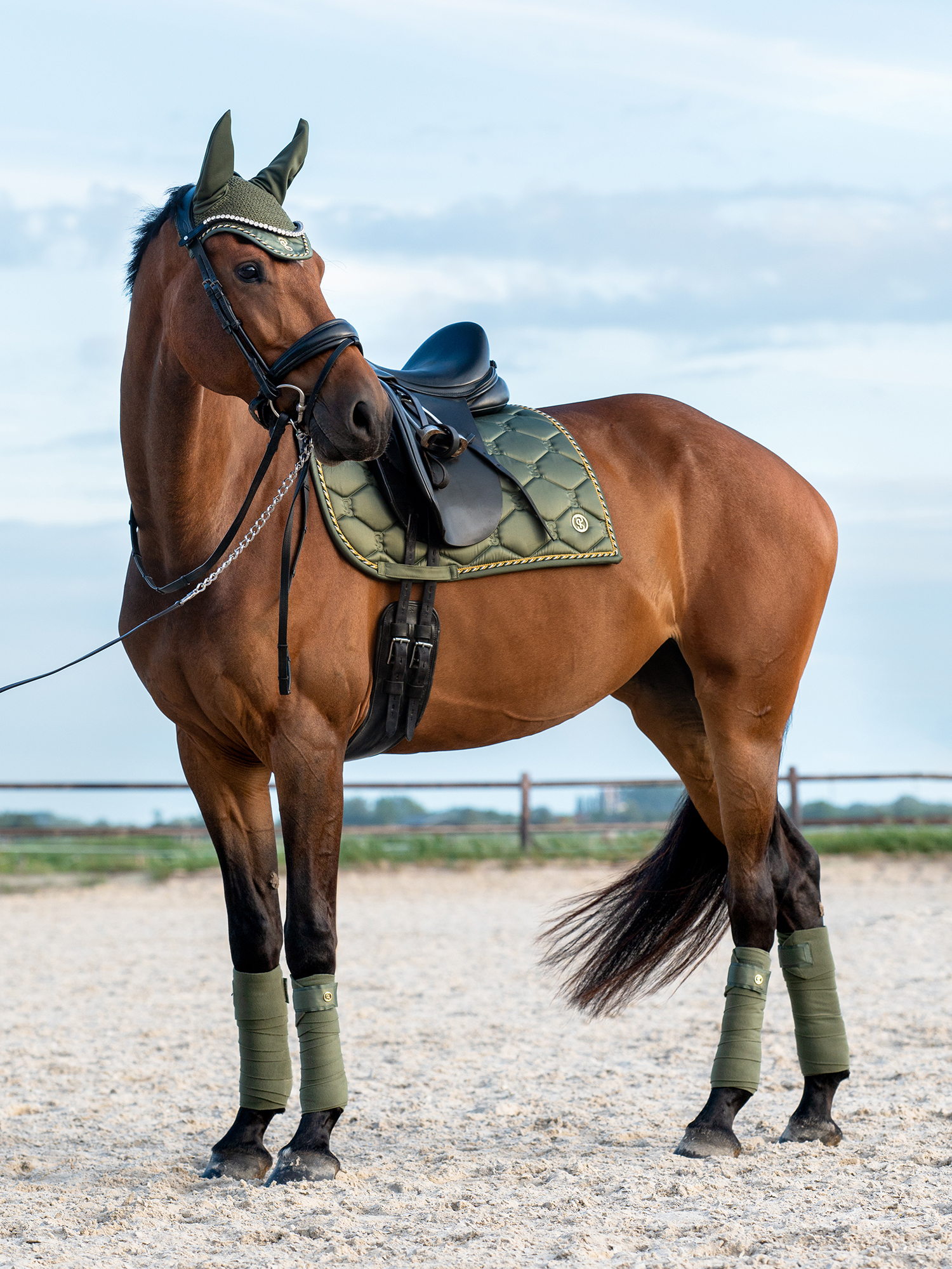 Ear Bonnet Signature