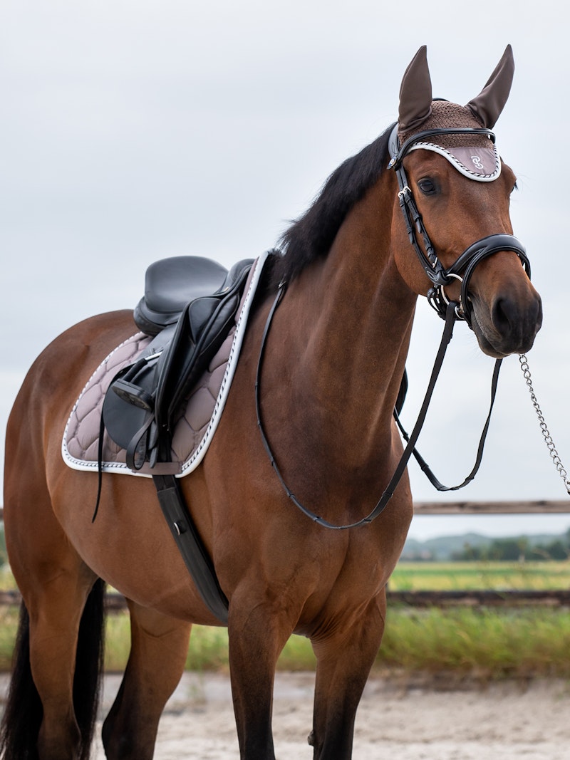 Ear Bonnet Signature Ear Bonnet Signature
