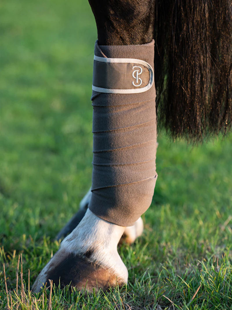 Polos Elite 4-pack Polos Elite 4-pack