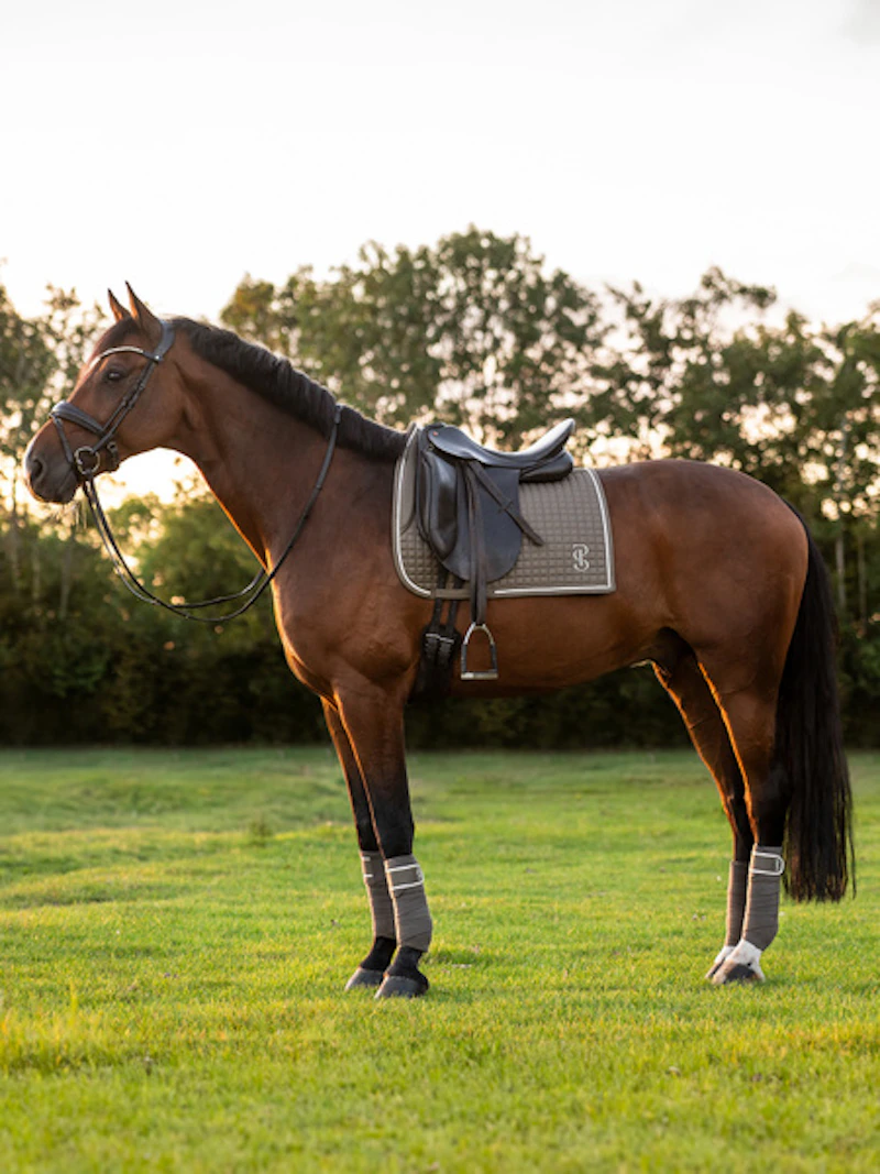 Polos Elite 4-pack Polos Elite 4-pack