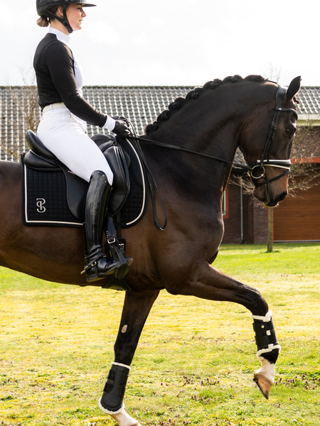 Saddle Pad Dressage Elite