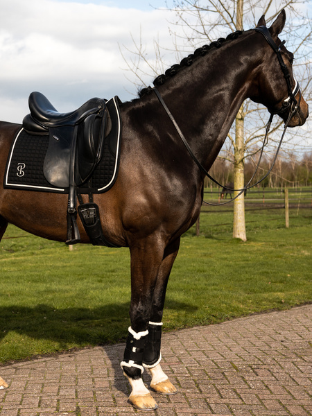 Saddle Pad Dressage Elite