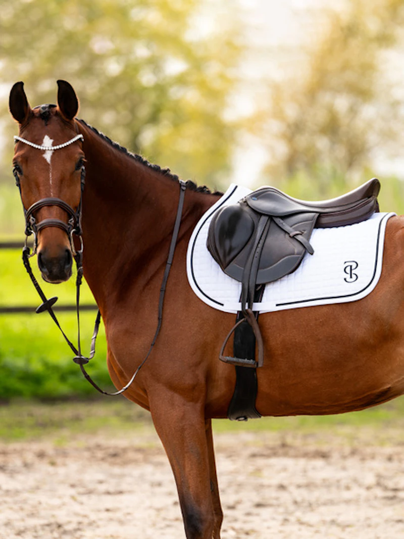 Saddle Pad Jump Elite Saddle Pad Jump Elite