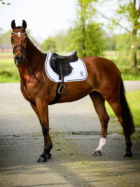 Saddle Pad Jump Elite