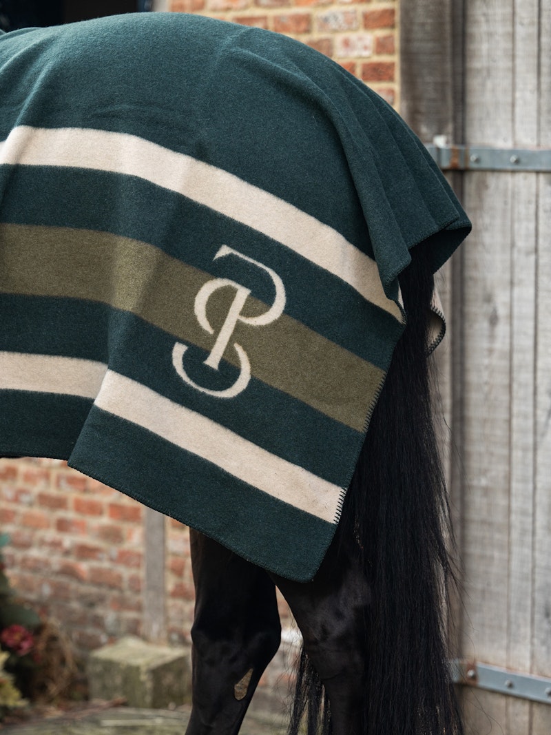 Striped Wool Blanket Striped Wool Blanket